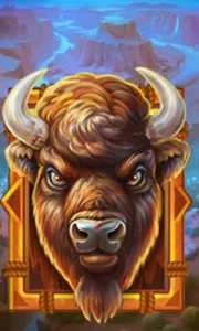 Buffalo Gold Canyon